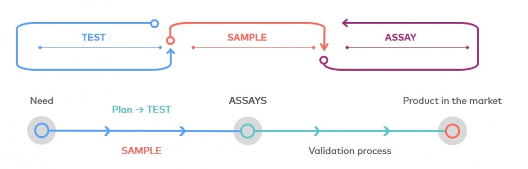 Correlation between the concepts test, sample and assay, from the need for a product that involves testing with a plan and sample management, to the establishment of the product on the market after the validation process.